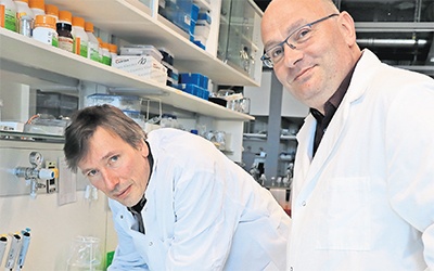 Entwicklung von Corona-Antikörpern in Potsdam