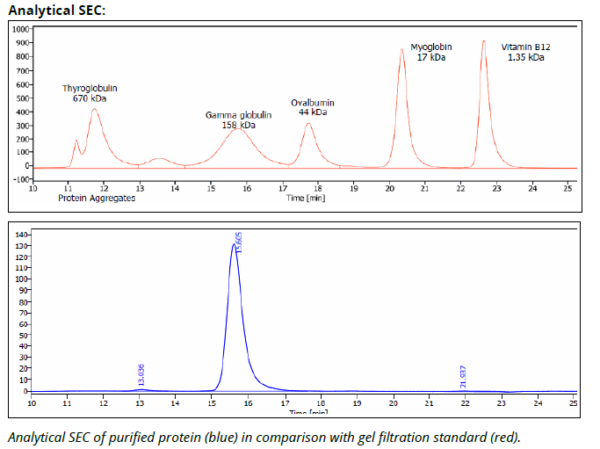 PD-1 mAb (29F.1A12)™, InVivoPure - Image 2