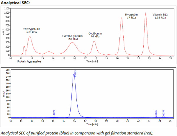 CD47 mAb (B6H12.2), InVivoPure - Image 3