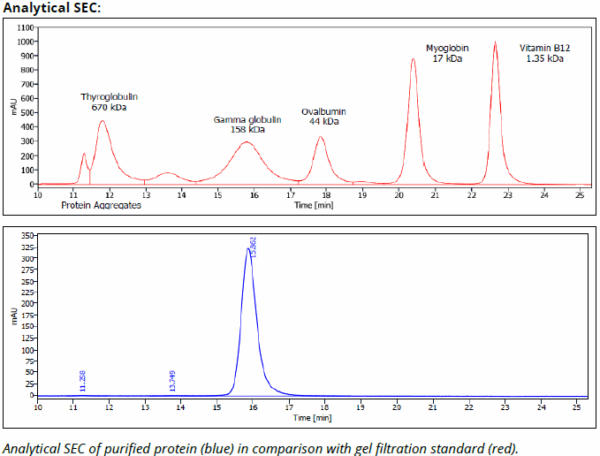 CD71 mAb (B3/25), InVivoPure+ - Image 3