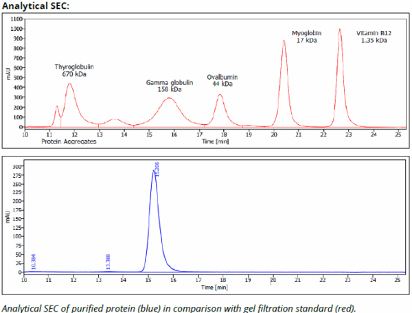 H-2Kd/H-2Dd mAb (34-1-2S), InVivoPure+ - Image 3