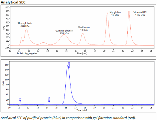 Rat IgG1 Isotype Control, InVivoPure - Image 3