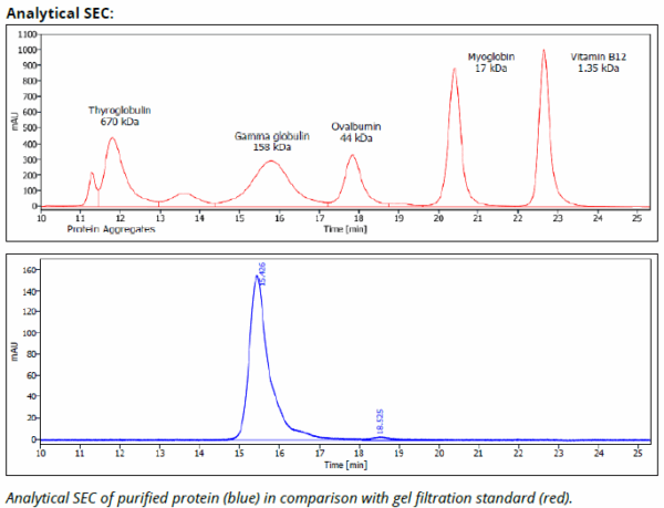 CD71 mAb (R17 217.1.3), InVivoPure+ - Image 3