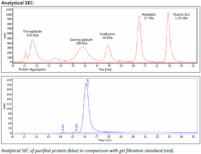 HLA-DQ mAb (SPV-L3), InVivoPure - Image 3
