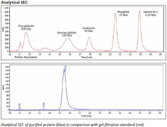 H-2 Kb/Db mAb (28-8-6S), InVivoPure+ - Image 3