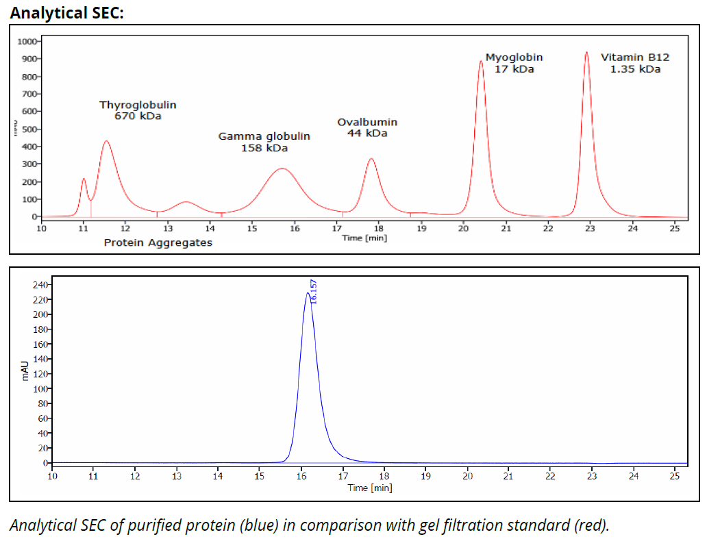 Mouse IgG1 Isotype Control (MOPC-21), InvivoPure - Image 3